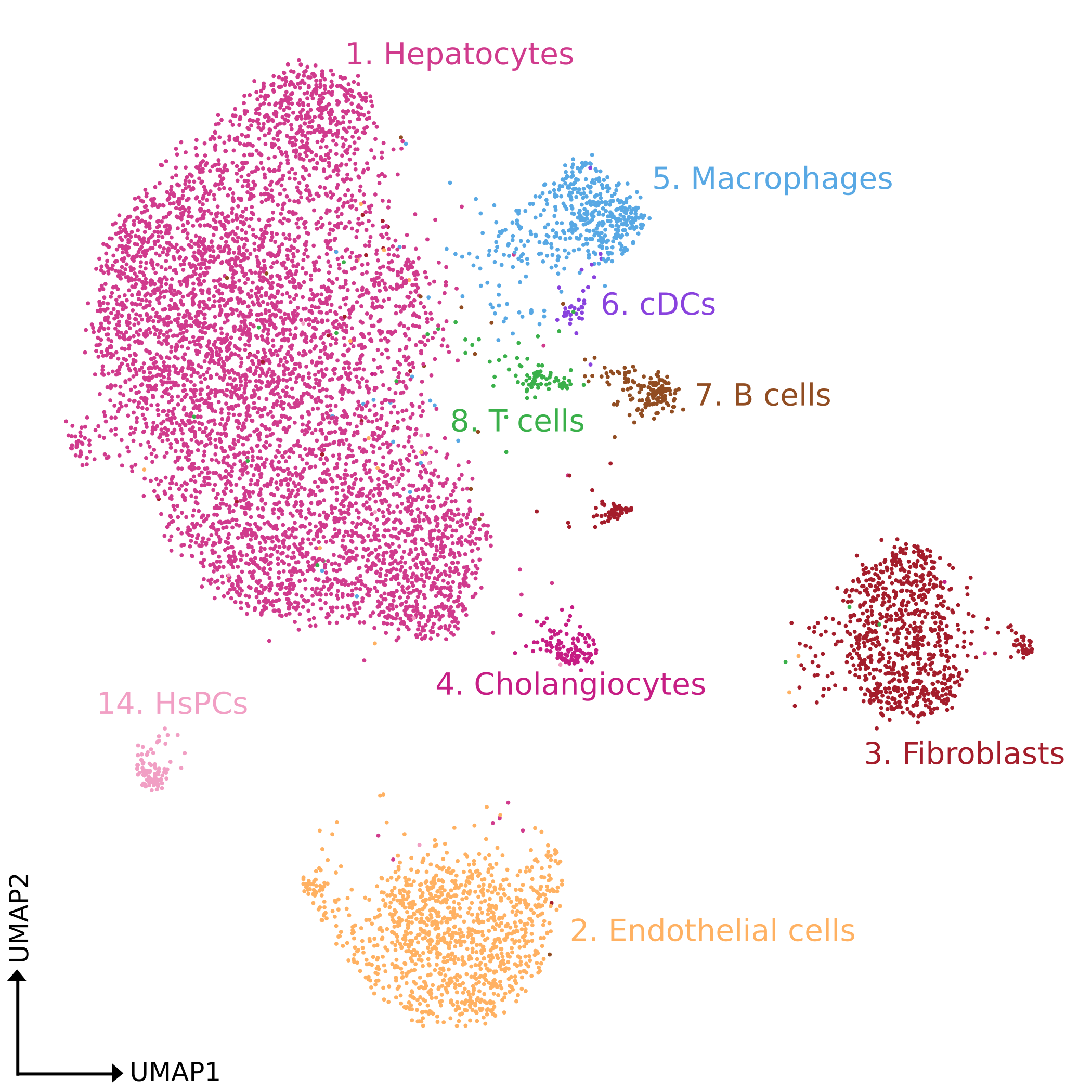 umapDigestNuclei