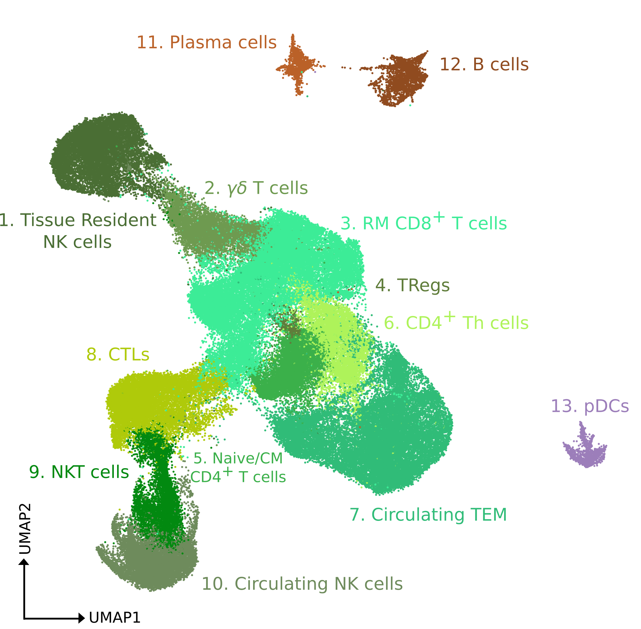 umapHumanLymphoid