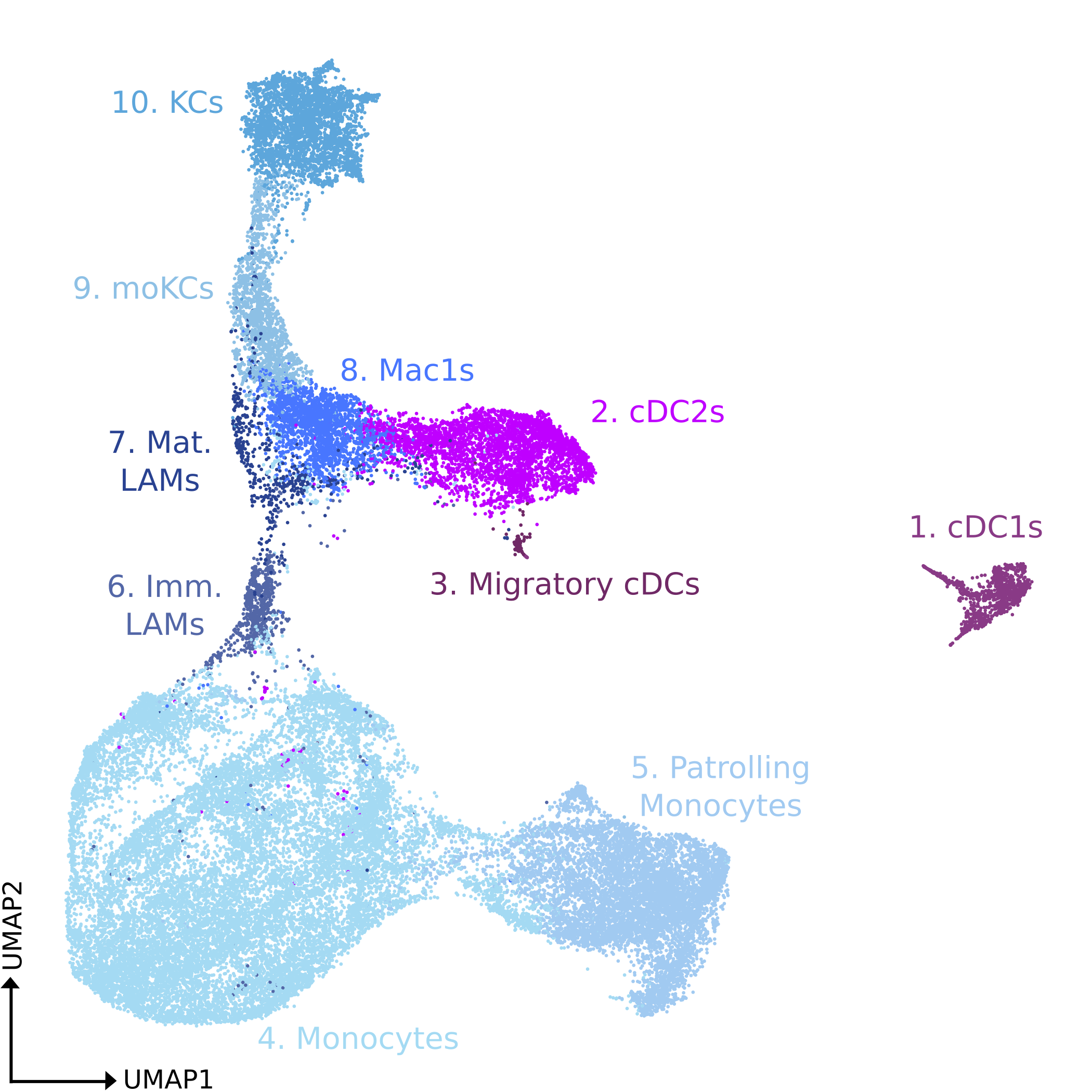 umapHumanMyeloid