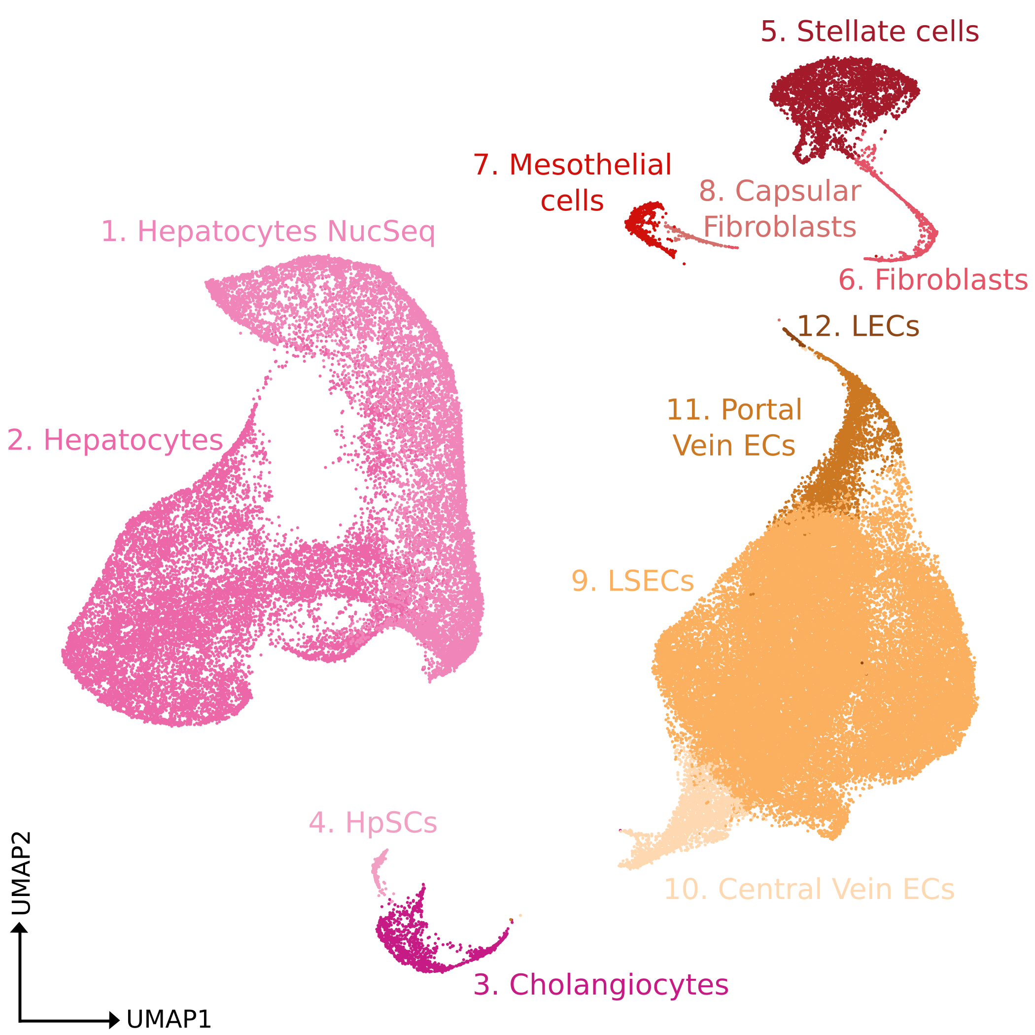 umapMouseStStCD45neg